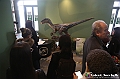 VBS_1011 - Dinosauri. Terra dei giganti